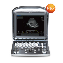 Ultrasound Ultrasonic Scanner Black White Doppler Portable (SC-ECO1)
